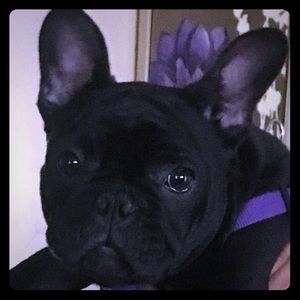 Meet your Posher, Charla